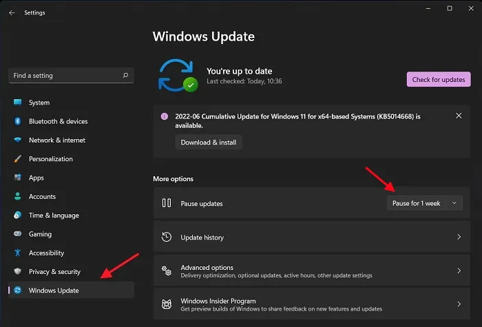 Optimize-Windows-11-Pause-Windows-Update-1.jpg